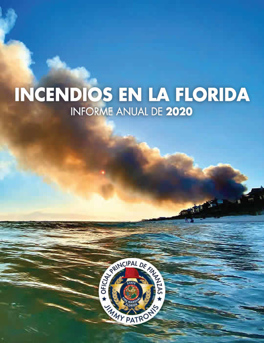 Informe Anual sobre Incendios 2020 de la Florida