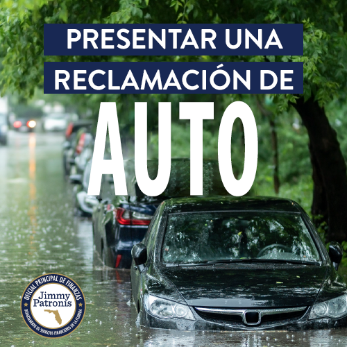 Guía de Presentación de Reclamaciones de Autos - Autos inundados en la calle