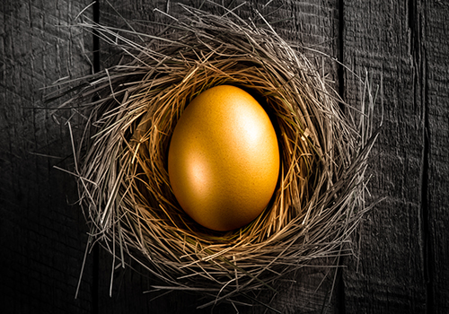 golden egg in nest