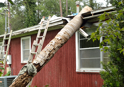exterior de una casa roja con daños en el techo por una palmera