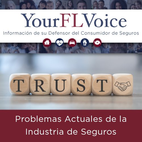 YourFLVoice: Problemas Actuales de la Industria de Seguros