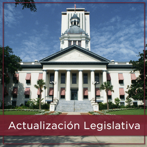 Actualización Legislativa