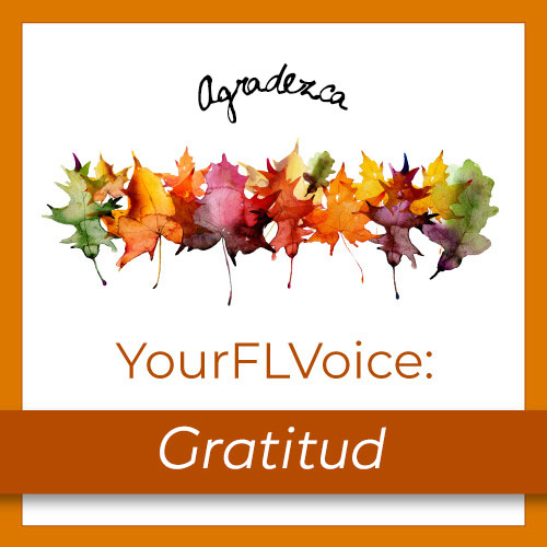 Edición de Noviembre de YourFLVoice: Gratitud