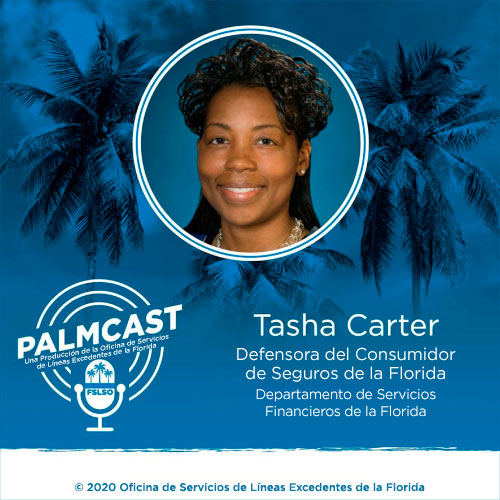 YourFLVoice - Escuchar Ahora: Conversemos sobre la Preparación para Huracanes en PalmCast